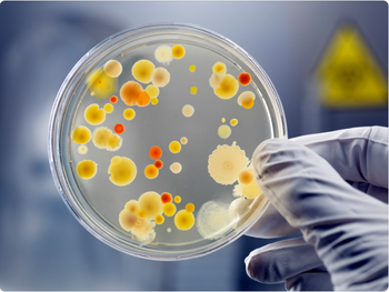 Microbiological Testing by Scientia Tech Company